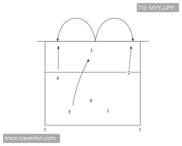 排球深度解析：杭州排球队如何实现中路突破的战术与技巧
