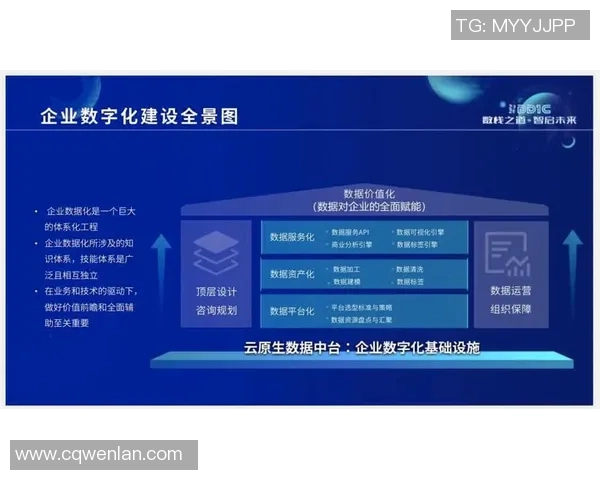 上海排球队转型之路的挑战与机遇全景分析