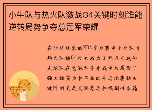 小牛队与热火队激战G4关键时刻谁能逆转局势争夺总冠军荣耀