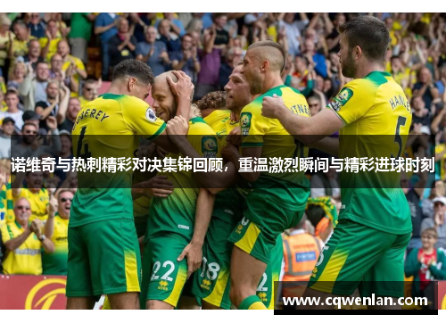 诺维奇与热刺精彩对决集锦回顾，重温激烈瞬间与精彩进球时刻