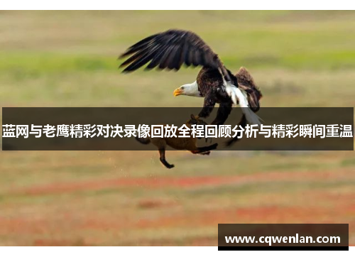 蓝网与老鹰精彩对决录像回放全程回顾分析与精彩瞬间重温