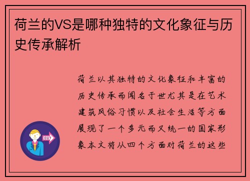 荷兰的VS是哪种独特的文化象征与历史传承解析